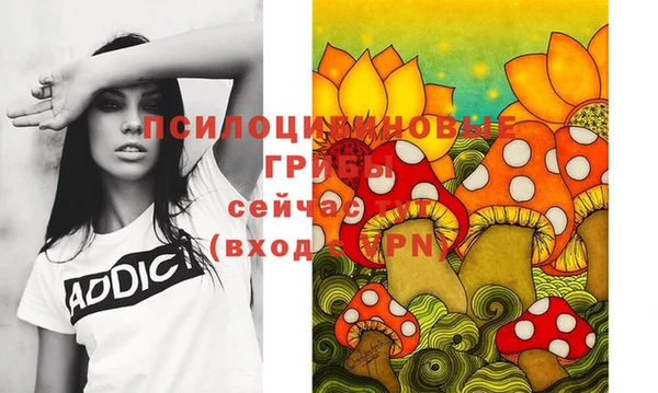 спайс Касимов