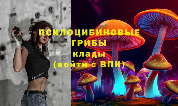 кокаин Каменка
