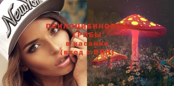 кокаин Каменка