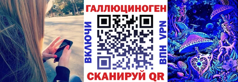 Купить где  Донецк  Псилоцибиновые грибы Psilocybe 